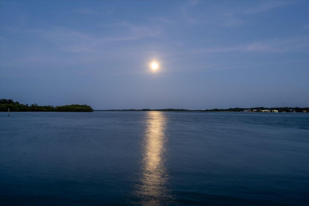 合同活跃: $5,500,000 (4 贝兹, 5 浴室, 8519 平方英尺)