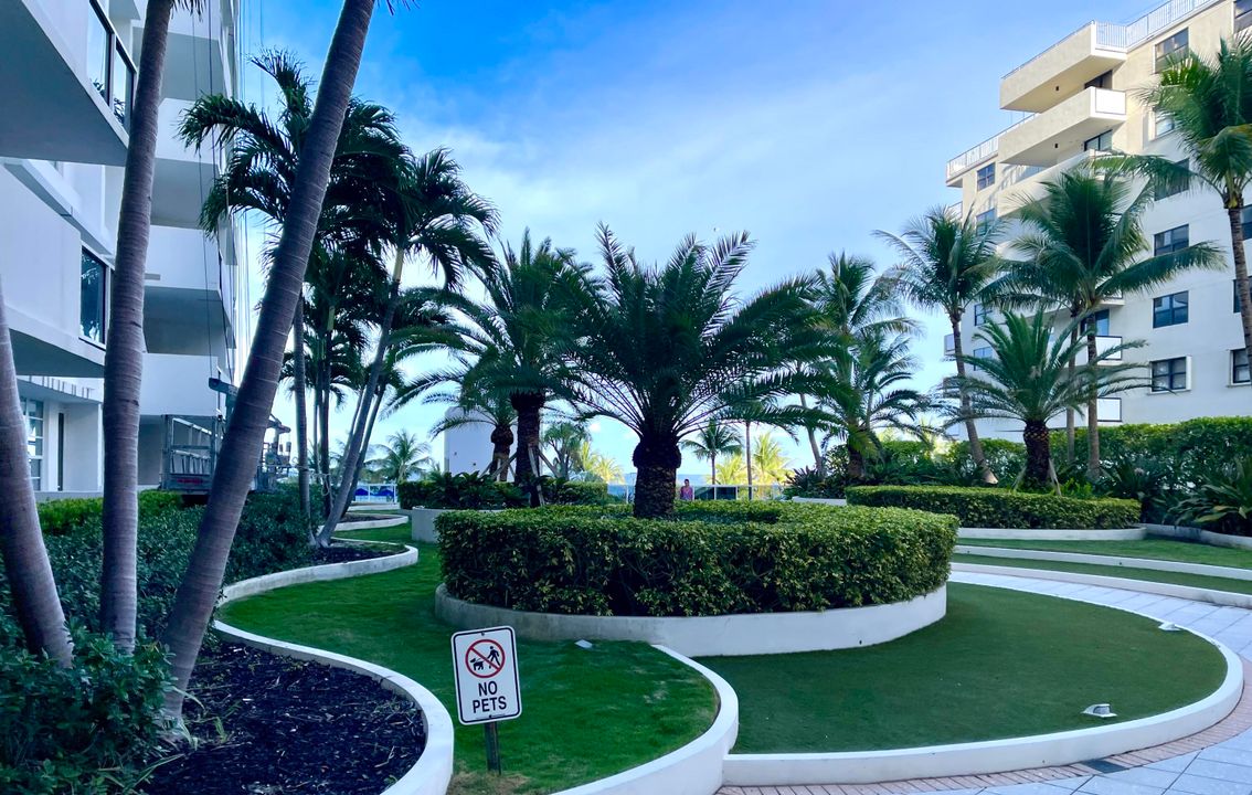 待售: $295,000 (1 贝兹, 1 浴室, 530 平方英尺)