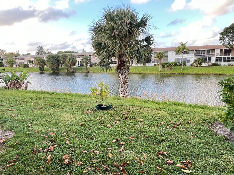 合同活跃: $74,900 (1 贝兹, 1 浴室, 646 平方英尺)