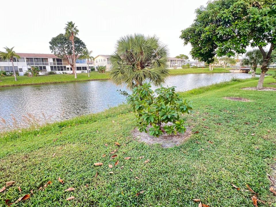 合同活跃: $74,900 (1 贝兹, 1 浴室, 646 平方英尺)