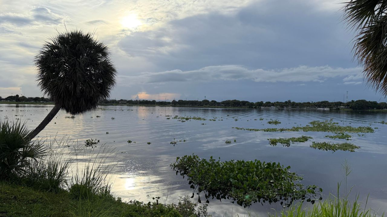 Active With Contract: $1,300 (1 beds, 1 baths, 640 Square Feet)