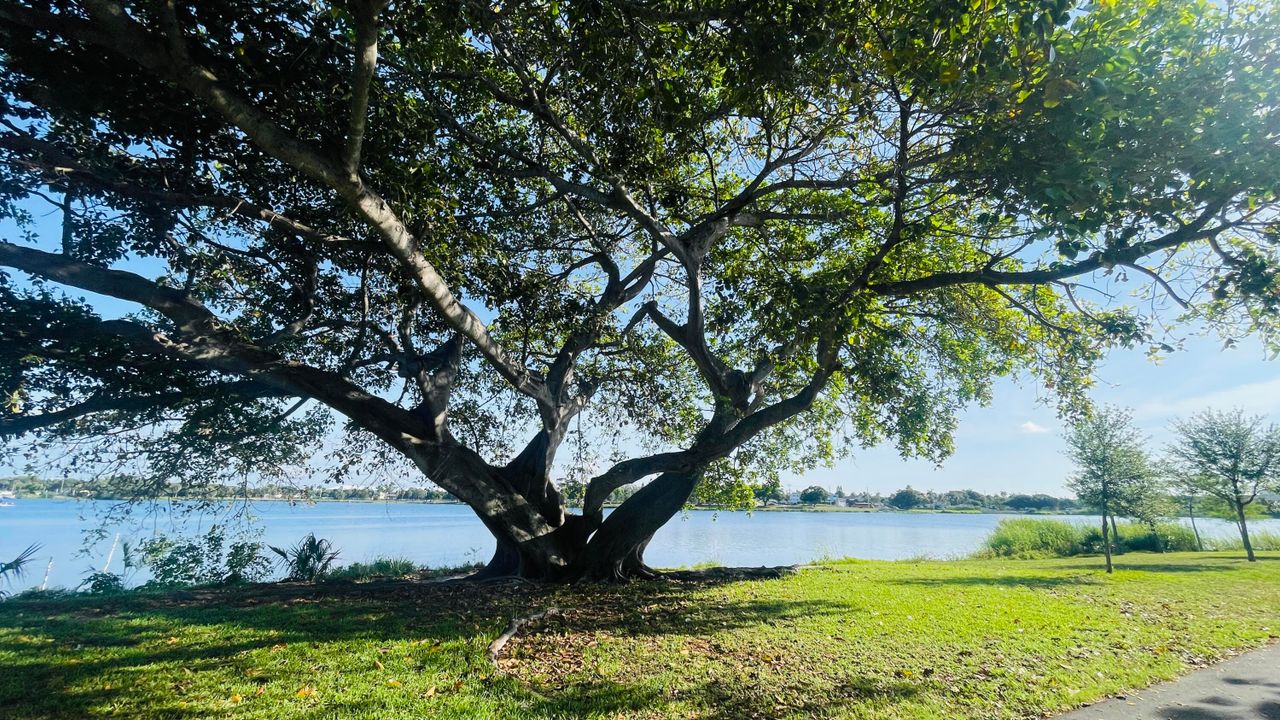 Active With Contract: $1,300 (1 beds, 1 baths, 640 Square Feet)