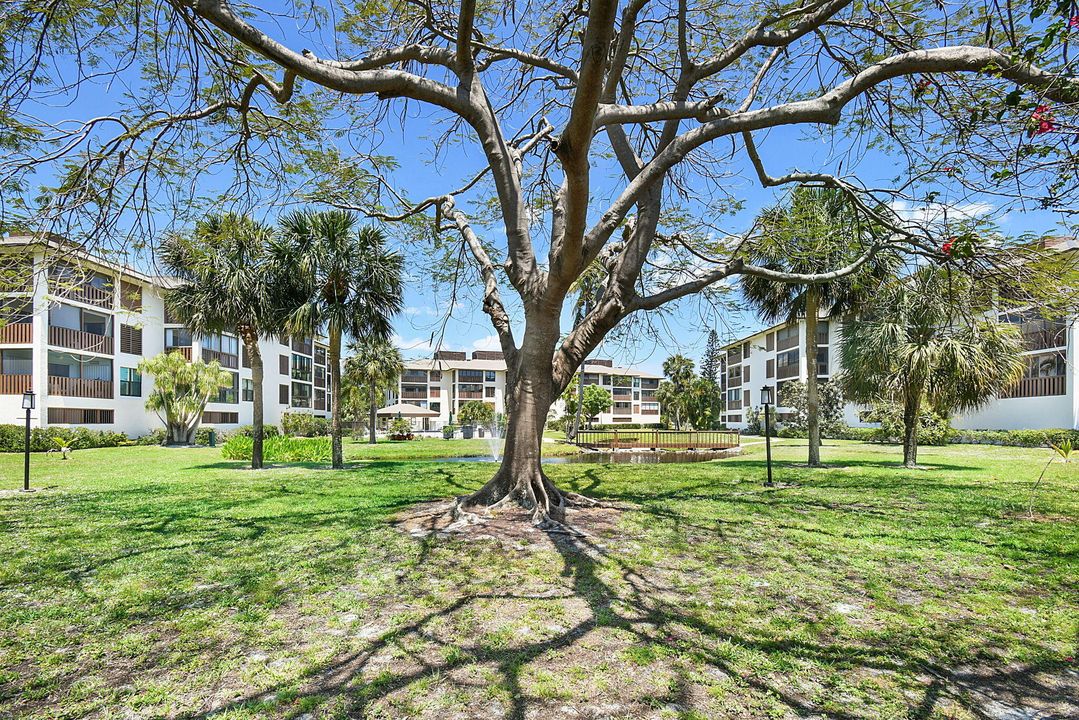 待售: $300,000 (3 贝兹, 2 浴室, 1684 平方英尺)