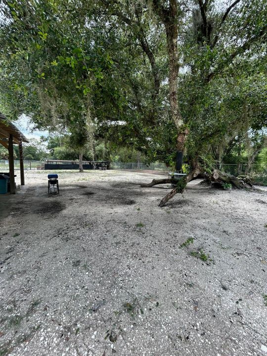 En Venta: $345,000 (3 camas, 2 baños, 1296 Pies cuadrados)