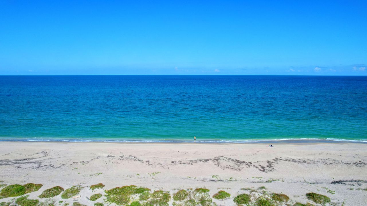 Active With Contract: $7,500 (2 beds, 2 baths, 1116 Square Feet)