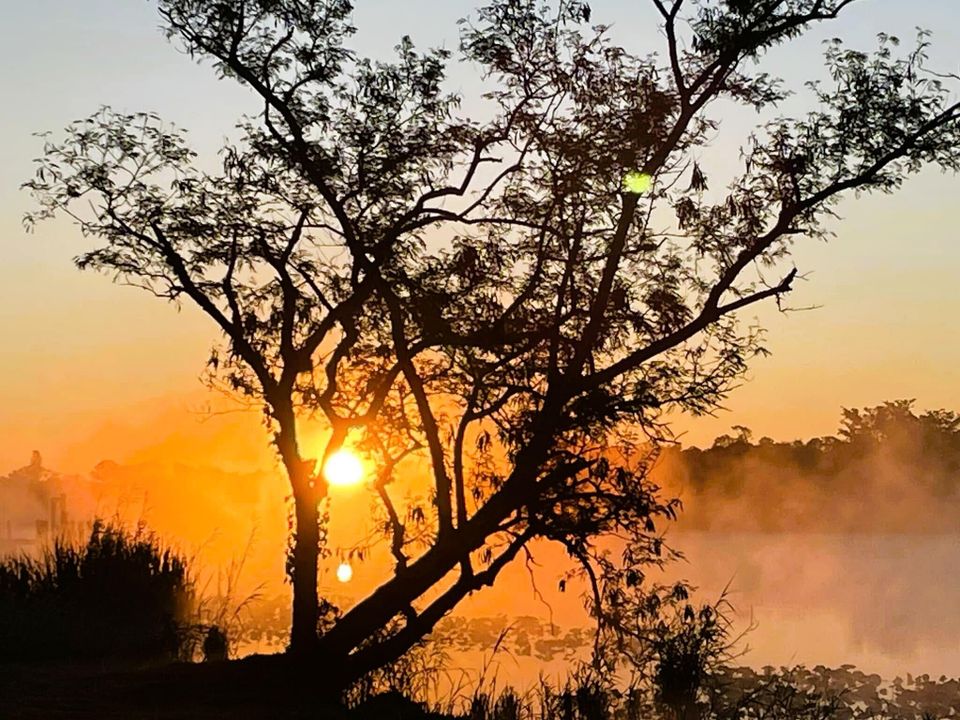 For Sale: $650,000 (3 beds, 3 baths, 2445 Square Feet)