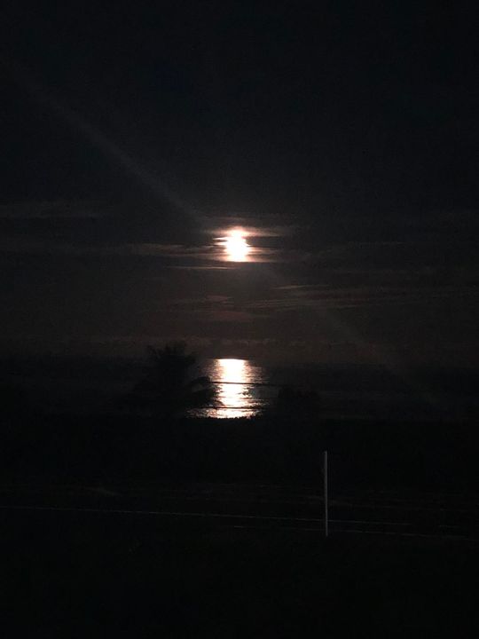 For Rent: $3,000 (2 beds, 2 baths, 1126 Square Feet)