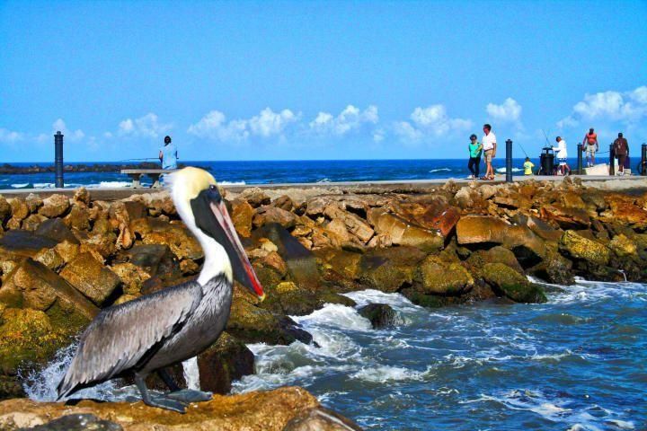 For Rent: $3,000 (2 beds, 2 baths, 1126 Square Feet)