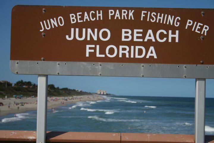 For Rent: $3,000 (2 beds, 2 baths, 1126 Square Feet)