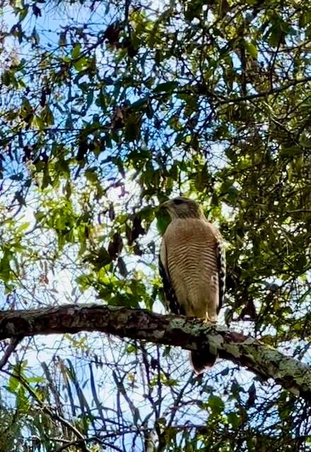Active With Contract: $649,000 (3 beds, 2 baths, 1344 Square Feet)