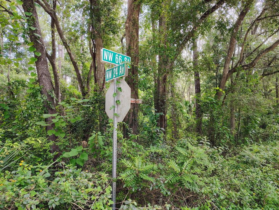 待售: $30,000 (0 贝兹, 0 浴室, 0 平方英尺)