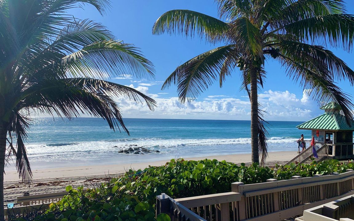 合同活跃: $7,500 (3 贝兹, 2 浴室, 1633 平方英尺)