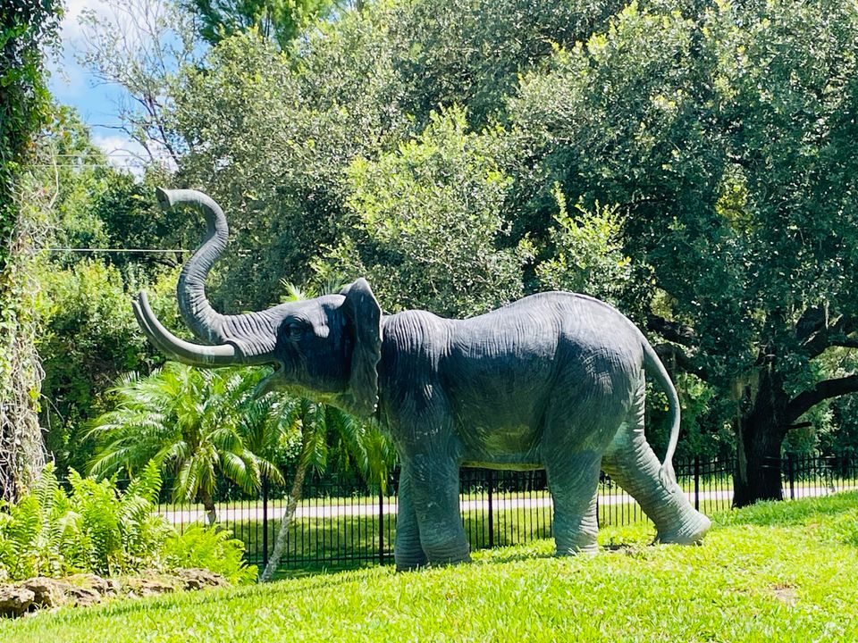 For Sale: $650,000 (3 beds, 3 baths, 2445 Square Feet)