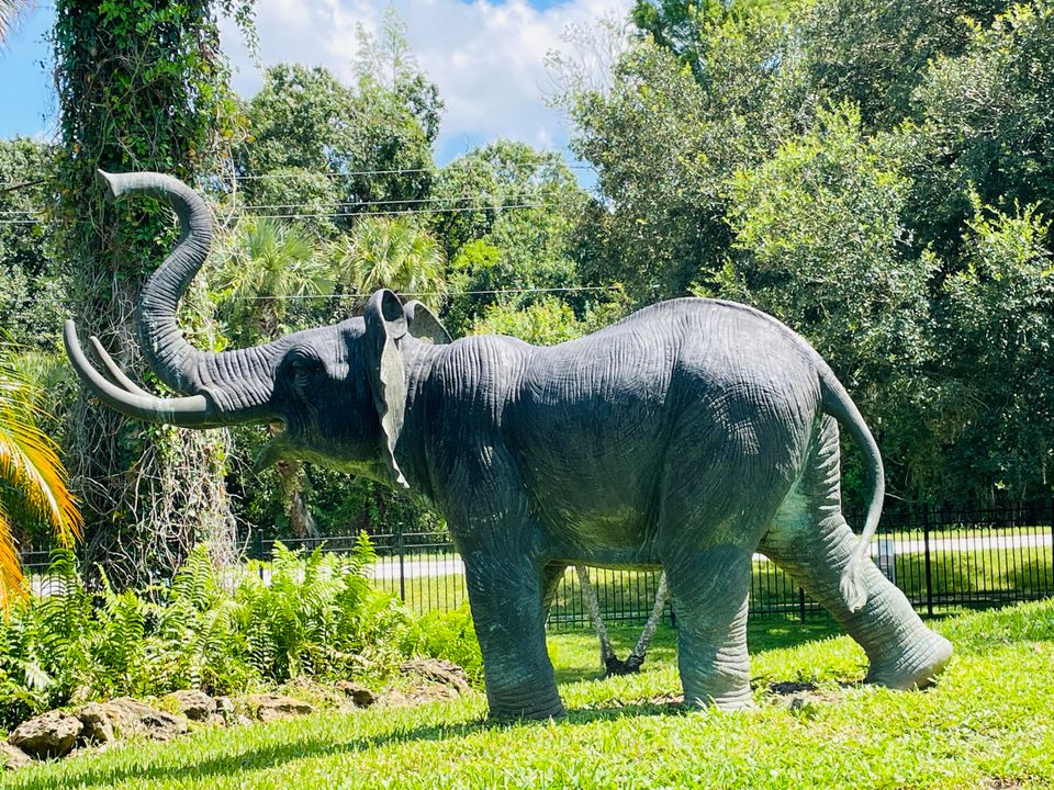 For Sale: $650,000 (3 beds, 3 baths, 2445 Square Feet)