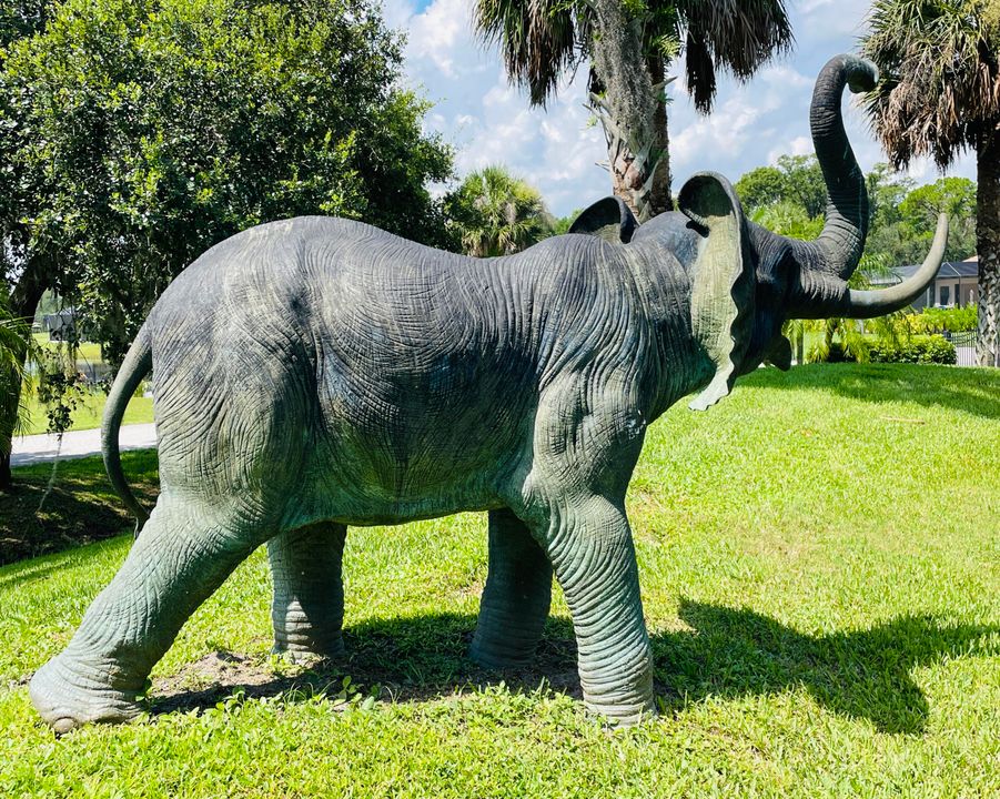 For Sale: $650,000 (3 beds, 3 baths, 2445 Square Feet)