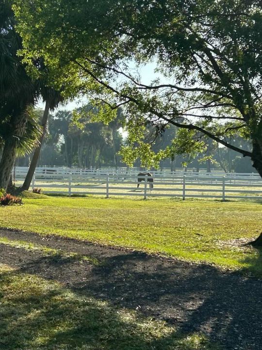 Vendido Recientemente: $1,975,000 (4 camas, 3 baños, 2455 Pies cuadrados)