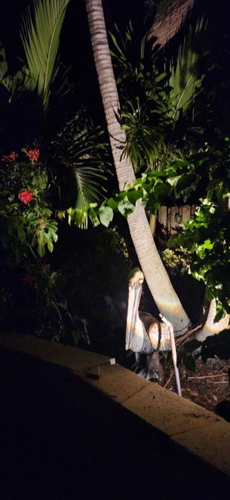 待售: $900,000 (3 贝兹, 2 浴室, 2142 平方英尺)