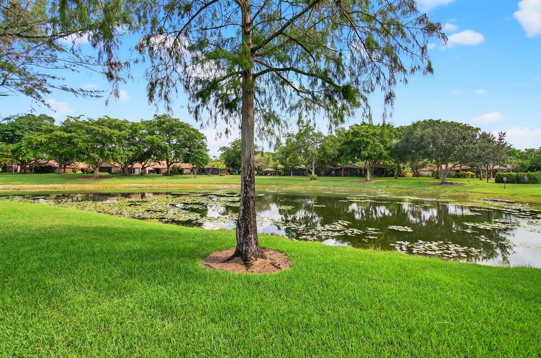 Под контрактом: $388,000 (3 спален, 2 ванн, 1200 Квадратных фут)