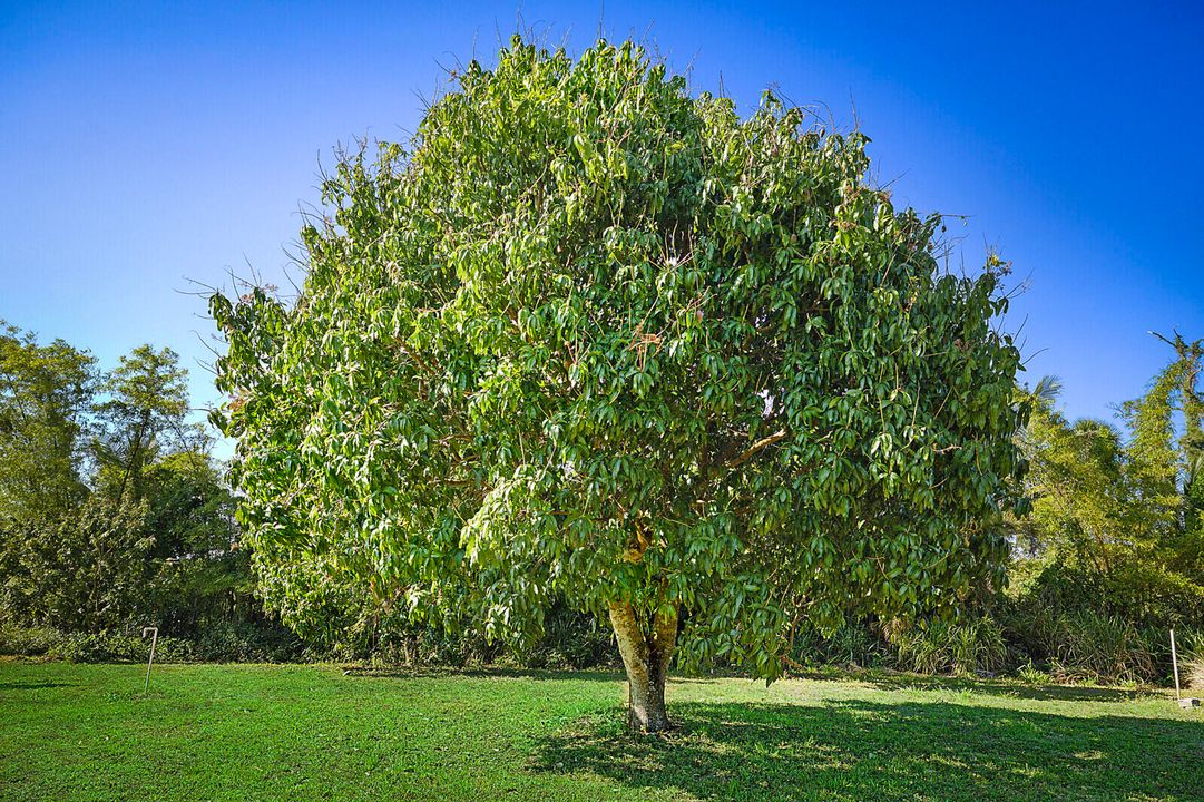 En Venta: $3,299,000 (0 camas, 0 baños, 0 Pies cuadrados)