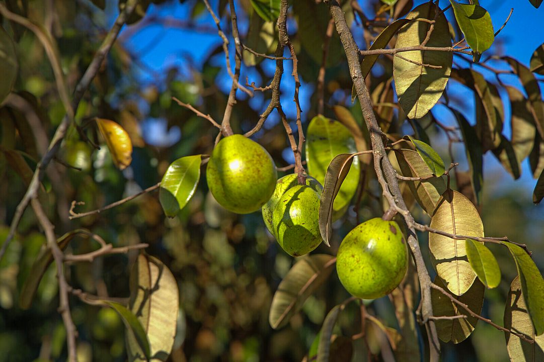 En Venta: $3,299,000 (0 camas, 0 baños, 0 Pies cuadrados)