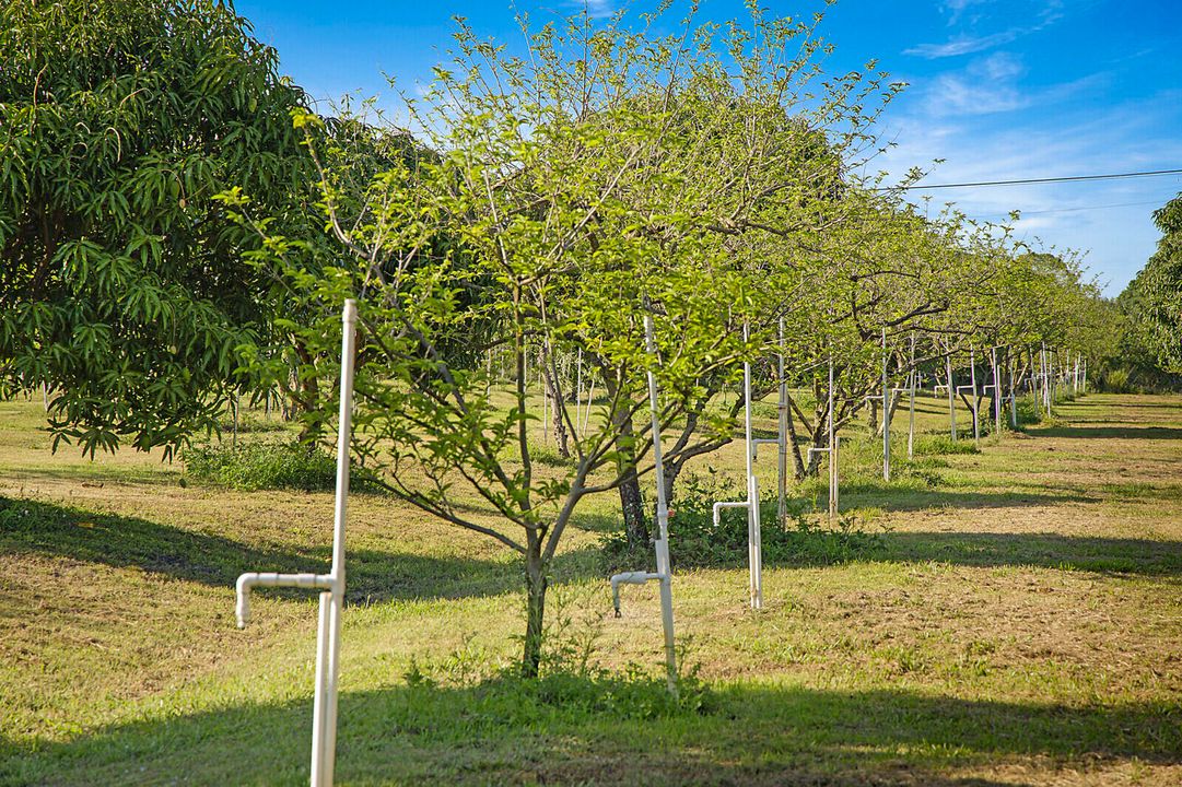 En Venta: $3,299,000 (0 camas, 0 baños, 0 Pies cuadrados)