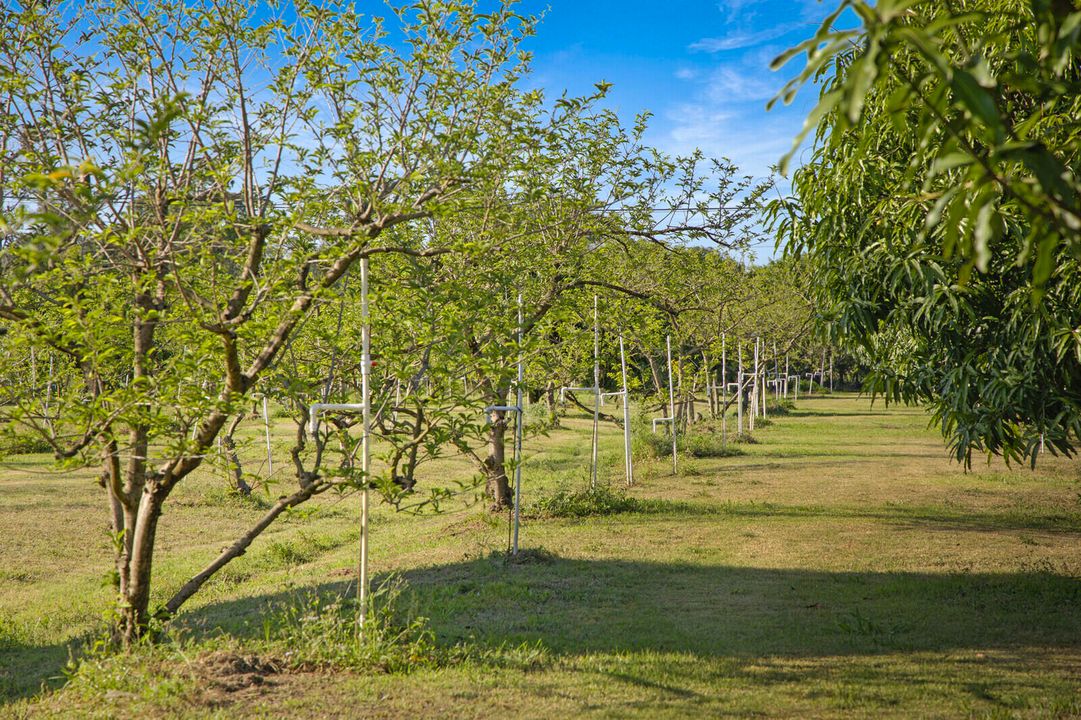 En Venta: $3,299,000 (0 camas, 0 baños, 0 Pies cuadrados)