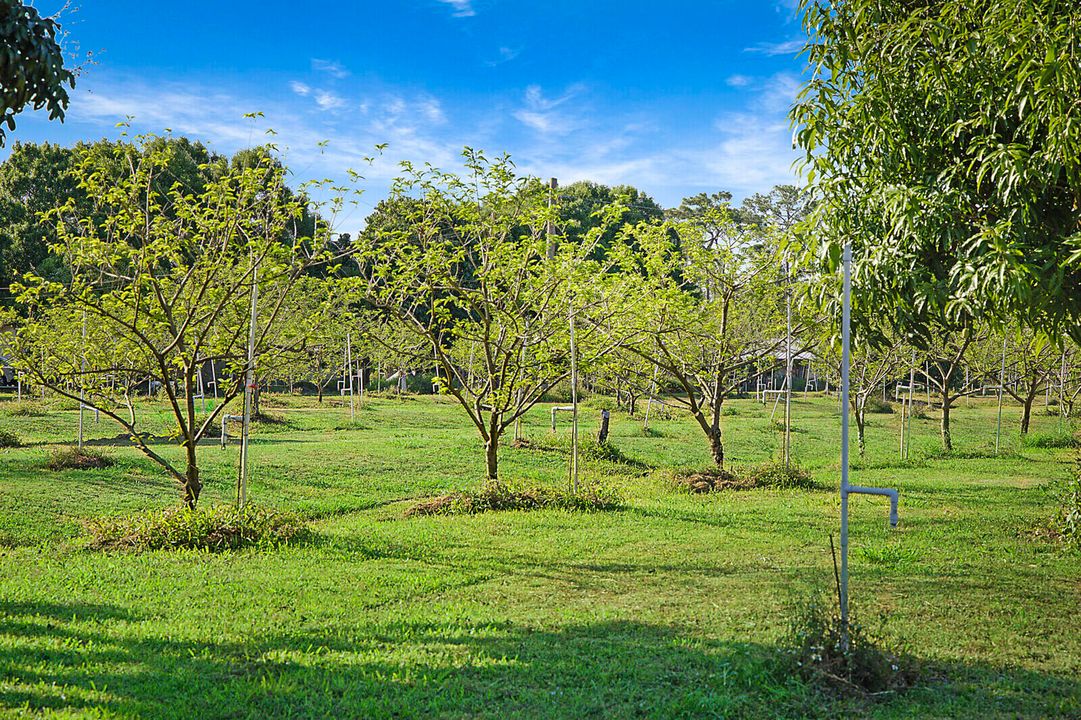 En Venta: $3,299,000 (0 camas, 0 baños, 0 Pies cuadrados)