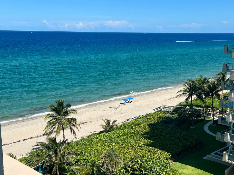 Active With Contract: $2,450 (1 beds, 1 baths, 690 Square Feet)