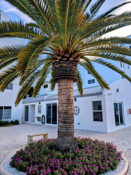 Active With Contract: $324,900 (2 beds, 2 baths, 835 Square Feet)