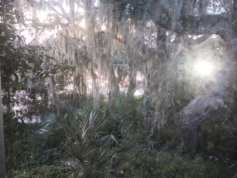 На продажу: $130,000 (2 спален, 1 ванн, 1100 Квадратных фут)