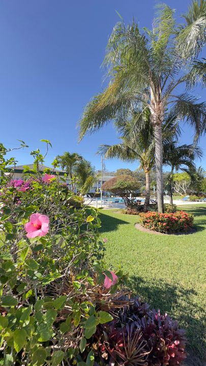 Active With Contract: $1,950 (2 beds, 2 baths, 886 Square Feet)