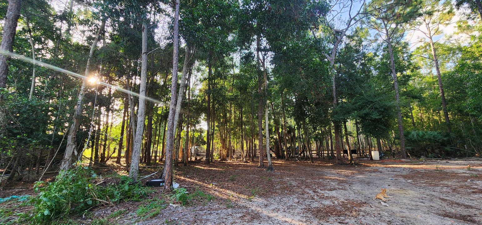 For Sale: $730,000 (0 beds, 0 baths, 0 Square Feet)