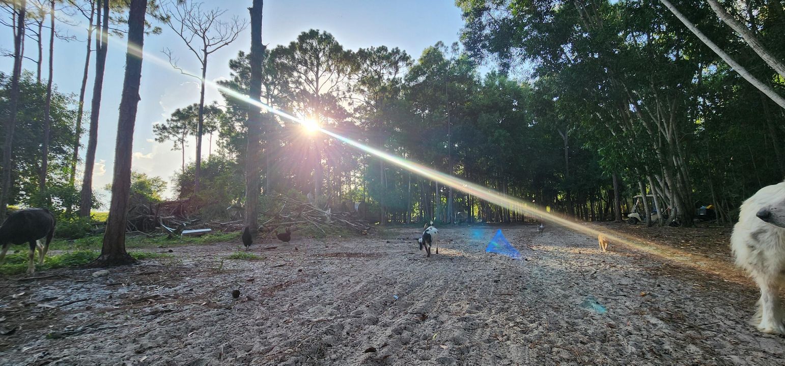 For Sale: $730,000 (0 beds, 0 baths, 0 Square Feet)