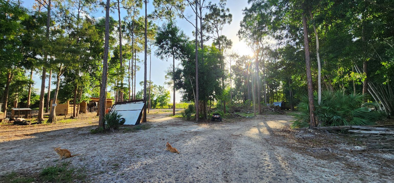 For Sale: $730,000 (0 beds, 0 baths, 0 Square Feet)