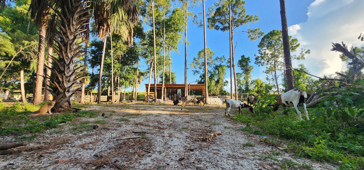 For Sale: $730,000 (0 beds, 0 baths, 0 Square Feet)