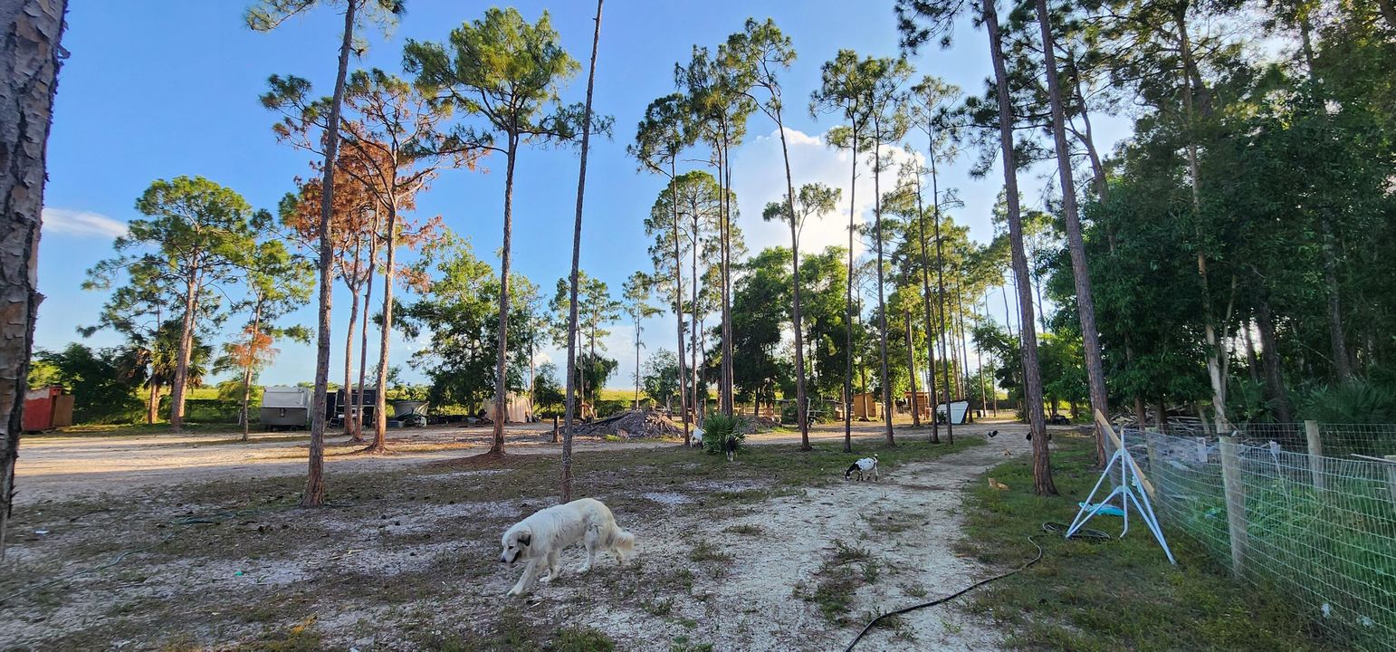 For Sale: $730,000 (0 beds, 0 baths, 0 Square Feet)