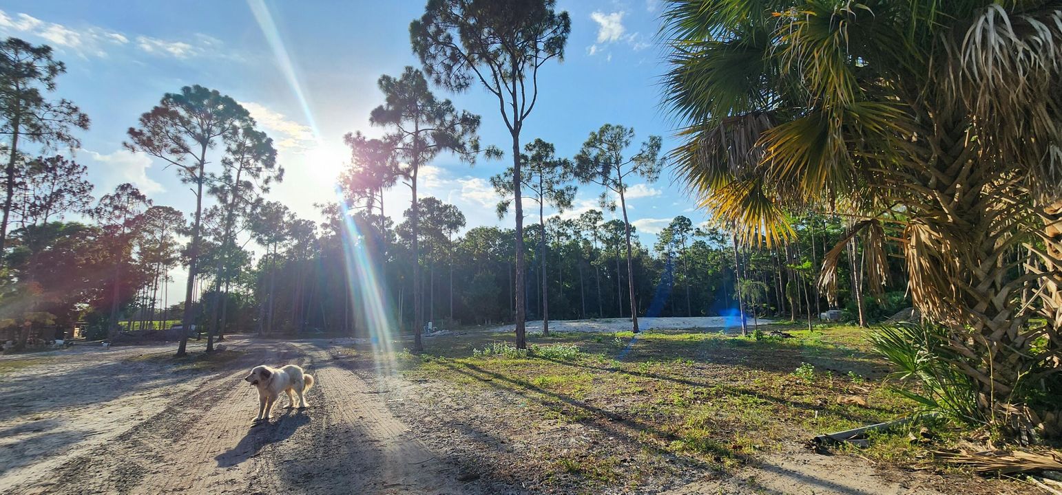 For Sale: $730,000 (0 beds, 0 baths, 0 Square Feet)