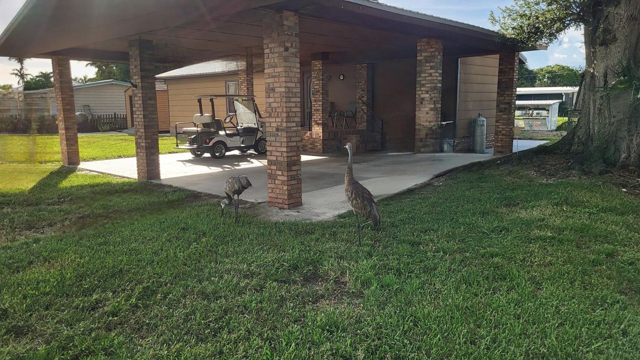 For Sale: $324,250 (2 beds, 2 baths, 1438 Square Feet)