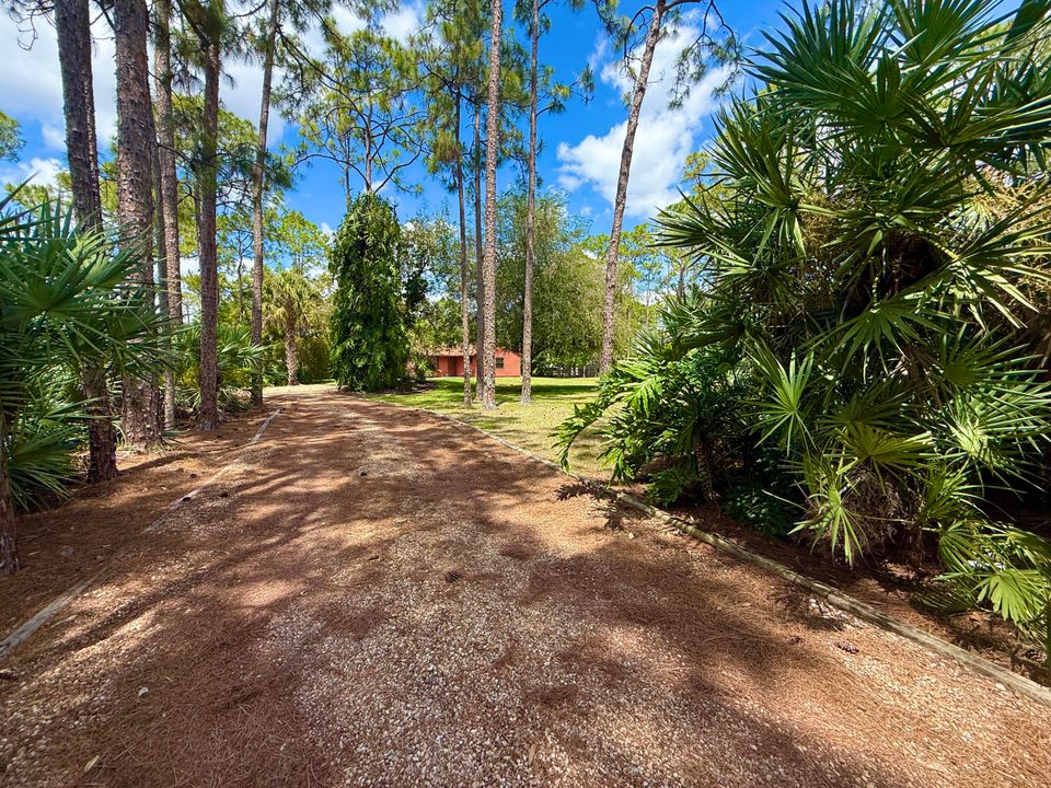 合同活跃: $500,000 (3 贝兹, 2 浴室, 1511 平方英尺)