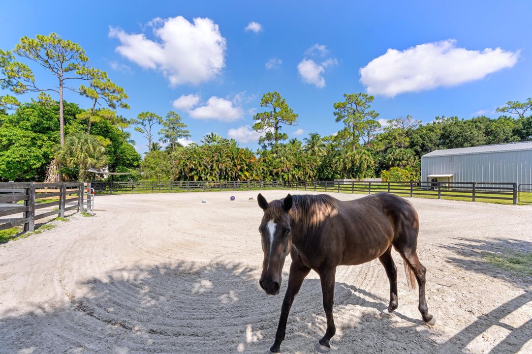 Activo con contrato: $1,899,000 (5 camas, 4 baños, 6000 Pies cuadrados)