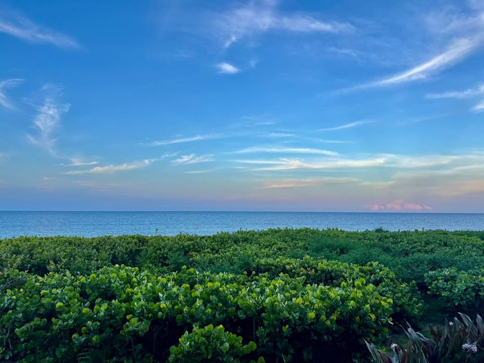 В аренду: $6,000 (3 спален, 2 ванн, 2343 Квадратных фут)