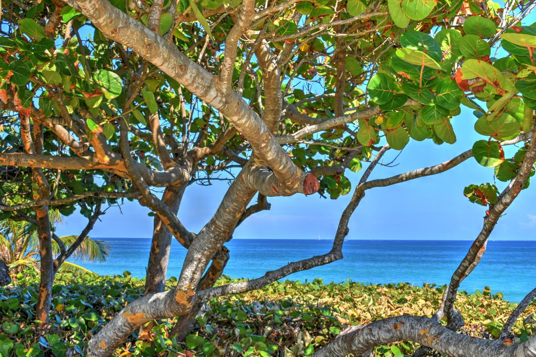 Activo con contrato: $5,800 (2 camas, 2 baños, 1385 Pies cuadrados)