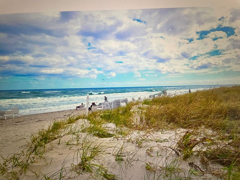 Под контрактом: $7,000 (2 спален, 2 ванн, 1438 Квадратных фут)