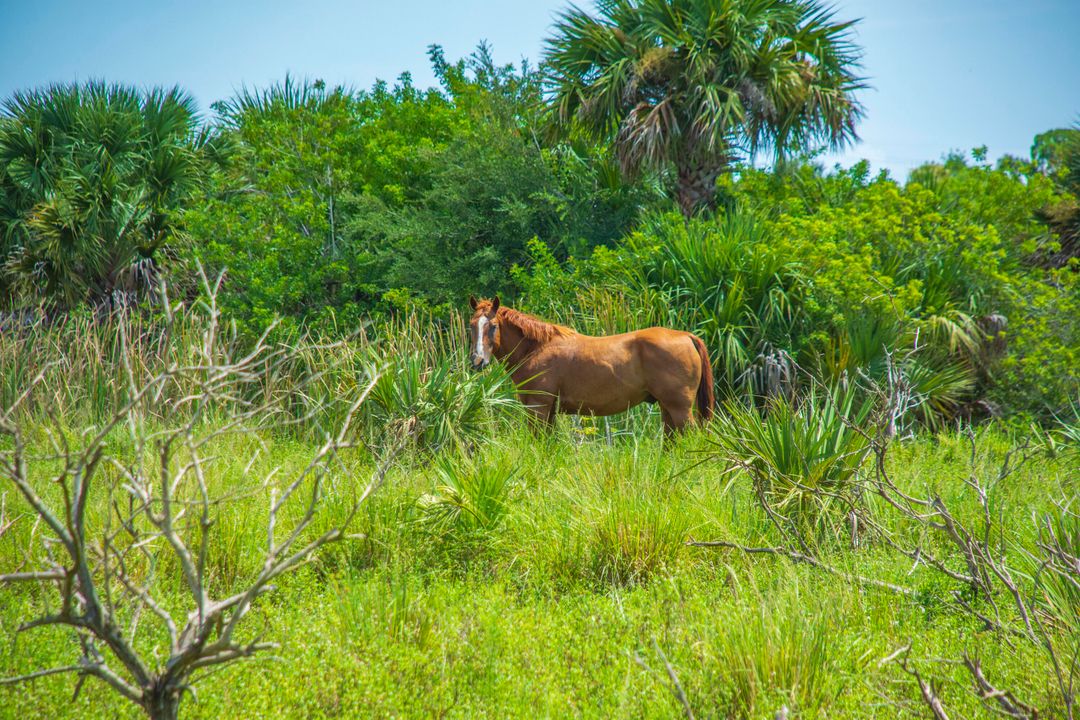 待售: $165,000 (2 贝兹, 2 浴室, 1420 平方英尺)
