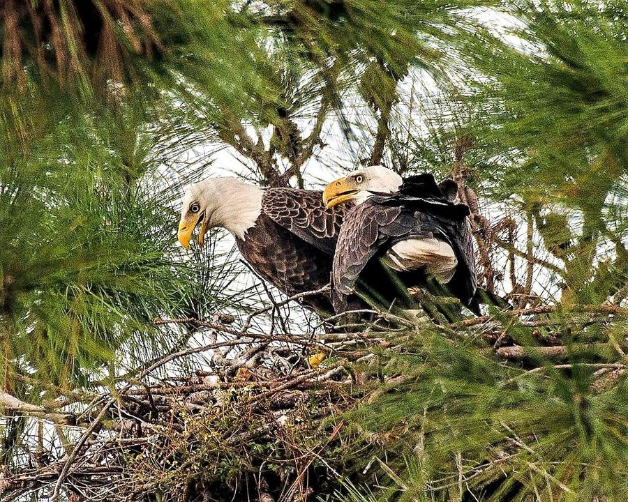 На продажу: $3,000,000 (9 спален, 5 ванн, 6506 Квадратных фут)