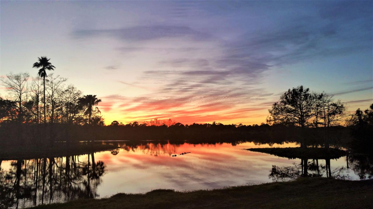 На продажу: $3,000,000 (9 спален, 5 ванн, 6506 Квадратных фут)