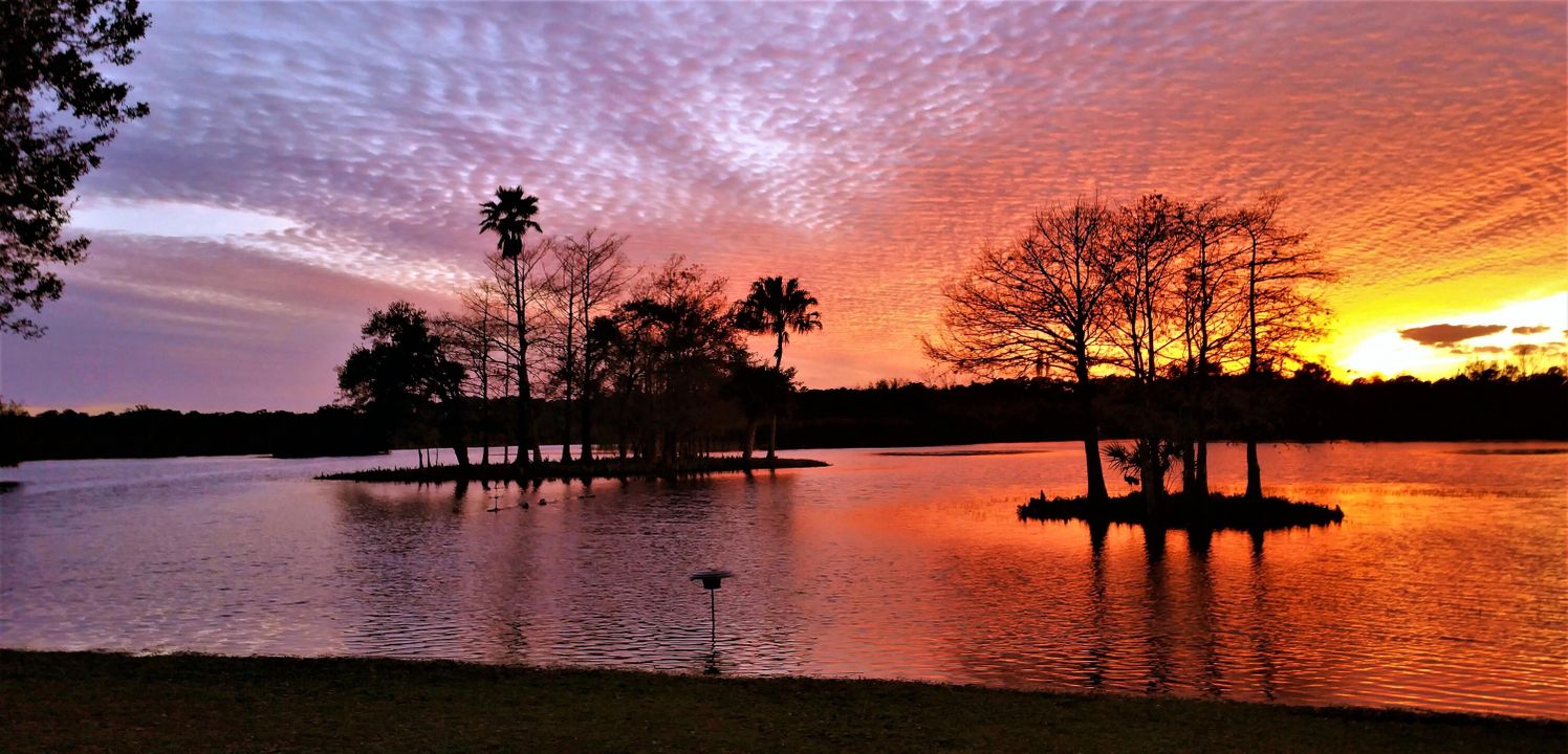 На продажу: $3,000,000 (9 спален, 5 ванн, 6506 Квадратных фут)