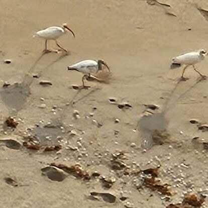 Active With Contract: $530,000 (2 beds, 2 baths, 1228 Square Feet)