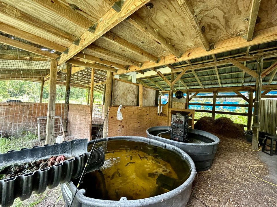 For Sale: $449,000 (4 beds, 2 baths, 3314 Square Feet)