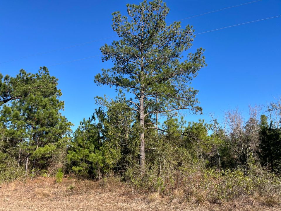 На продажу: $14,400 (0 спален, 0 ванн, 0 Квадратных фут)